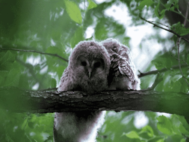 西安女性不孕检查费用，ocp长方案试管